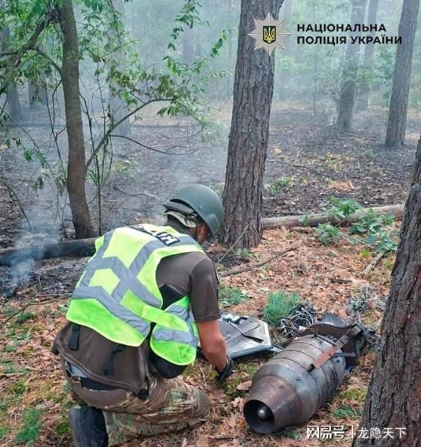 CBA休赛期：古德温确定续约上海，洛夫顿抬价恐难回归，怀特塞德下家敲定即将签约，上海有意引进赵继伟