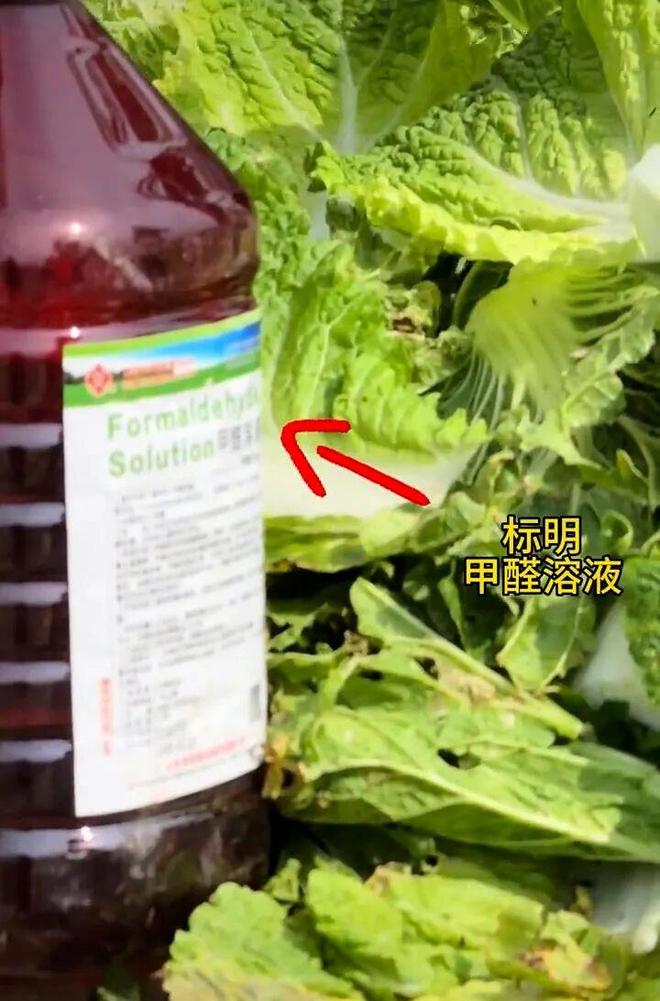 浙江绿城八月首战北京国安，赢可冲击前三，输或导致一蹶不振