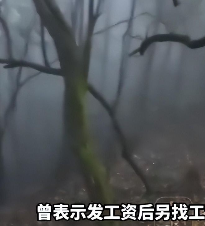 山东高速男篮官方：贝利·斯蒂尔加盟 有望4月1日完成首秀