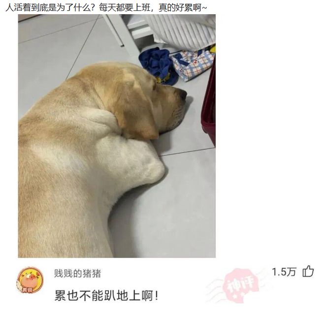 中国女足半场仅1射!媒体人热议:踢得比想象的好,邵子钦太重要