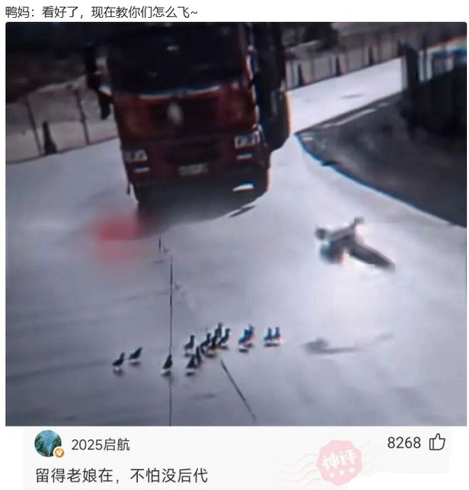 建信人寿山东分公司：乒羽赛场激扬斗志，凝心聚力再启新程