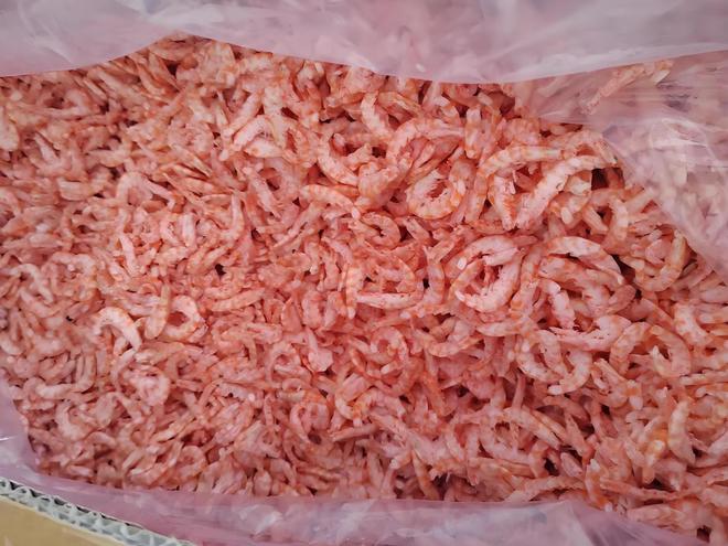 签下库库雷利亚竟为“遮羞”？皇马因世界杯零国脚遭全网嘲讽